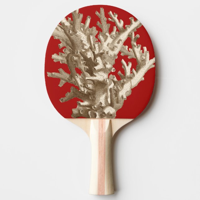 Kleine Koralle im Rot Tischtennis Schläger (Vorderseite)