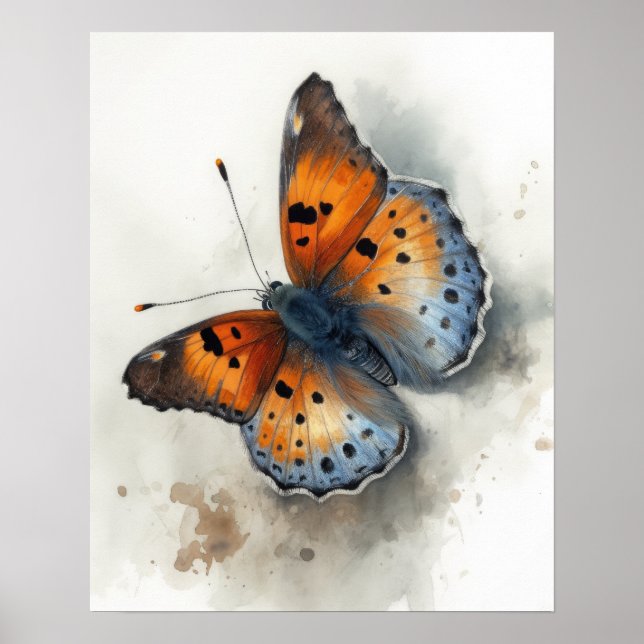 Kleine Kupfer Schmetterling Art Print Poster (Vorne)