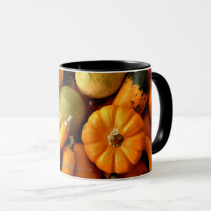 Kleine Kürbisse und Zierkürbis Zusammenstellung He Tasse