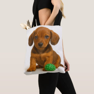 Kleine Legen, Big Toy - Dackel Pup Tasche