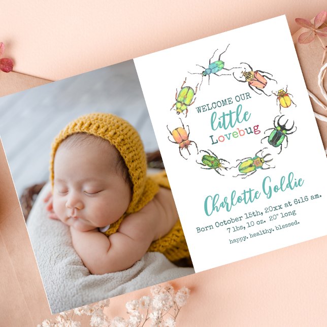 Kleine Liebe Bug Baby Announcement Foto Card Dankeskarte (Von Creator hochgeladen)