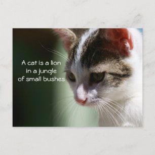 Kleine Lion Postkarte