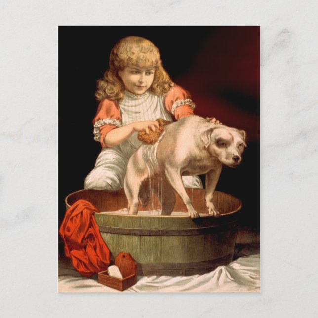 Kleine Mädchen baden ihren Hund Postkarte (Vorderseite)
