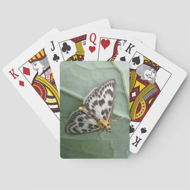 Kleine Magpie Moth Playing Cards Spielkarten (Rückseite)
