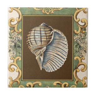 Kleine Meerjungfrau-Muscheln Fliese