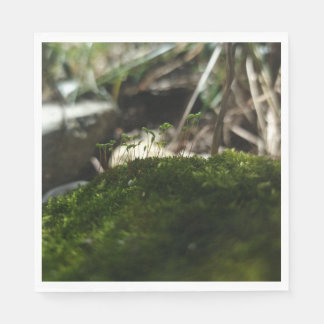 Kleine Mooswelt – Naturfotografie Serviette