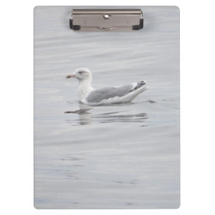 Kleine Möwe Klemmbrett