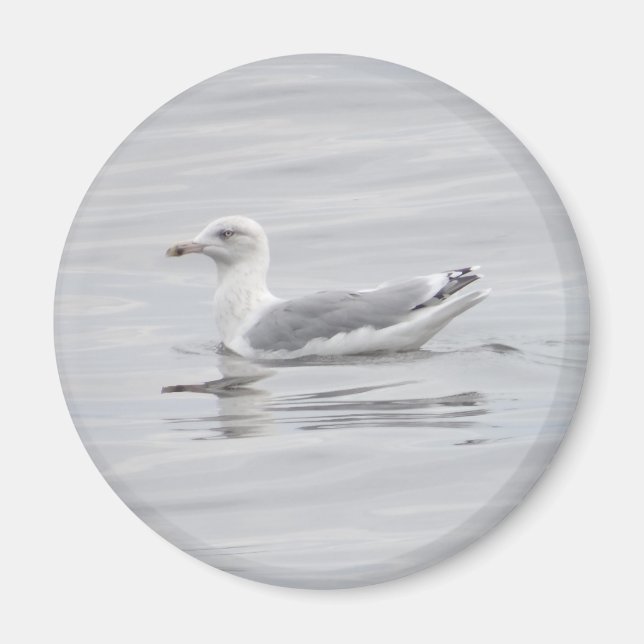 Kleine Möwe Magnet (Vorne)