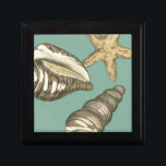 Kleine Muschel Trio auf Aquamarin Geschenkbox<br><div class="desc">Megan Meagher ist bekannt für ihre einfachen Kunstwerke. Dieses Bild zeigt die Einfachheit der Schätze des Meeres,  der Muscheln eines Conchs und eines Seesterns. Meagher hat einen aquamarinen Hintergrund in ihrem Bild,  um diese Schätze zu kontrastieren. Holen Sie sich heute dieses Kunstdrucke auf Ihrem Zazzle-Produkt.</div>