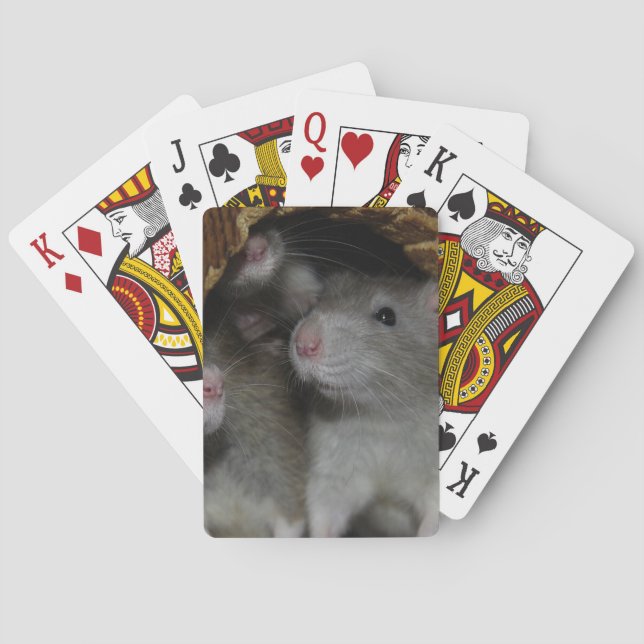 Kleine Nasen Spielkarten (Rückseite)