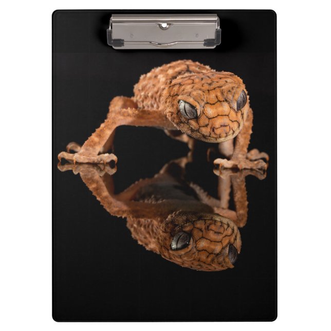 Kleine Niedliche Lizard Reptil mit Reflektion Klemmbrett (Vorderseite)