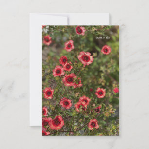 Kleine Orange Blume Mitteilungskarte