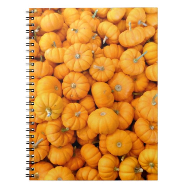 Kleine Orange Fall Harvest Pumpkins Notizblock (Vorderseite)