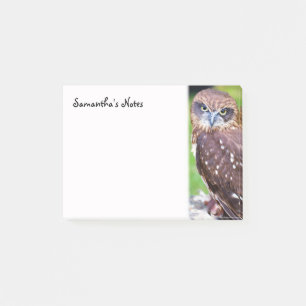 Kleine Owl Post-it-Notizen Post-it Klebezettel