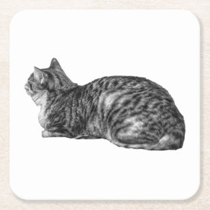 Kleine Pause, Tabby Poise Rechteckiger Pappuntersetzer