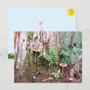 Kleine Pilze Postkarte