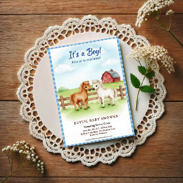 Kleine Pony Baby Boy Shower Gingham Einladung