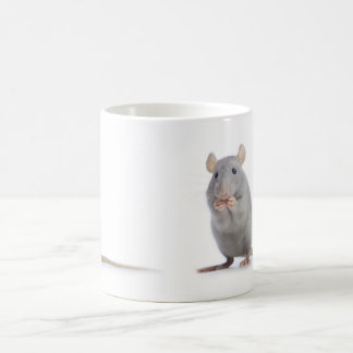 kleine Ratte Kaffeetasse