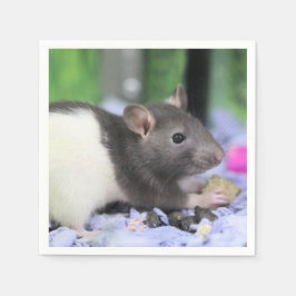 Kleine Ratte Serviette