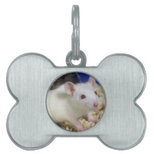 Kleine Ratte Tiermarke