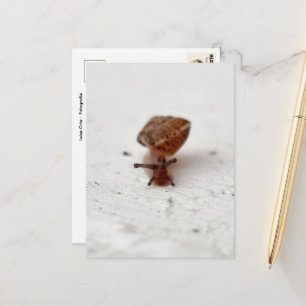 Kleine Reise – Schnecke auf hellem Grund Postkarte