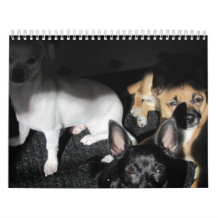 Kleine Rettung Hunde 12-monatiger Kalender