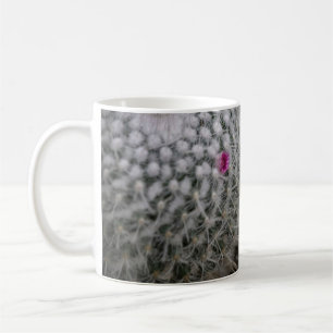 Kleine rosa blühende Kakteen Kaffeetasse