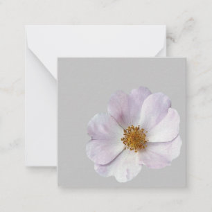 Kleine rosa Blume Mitteilungskarte