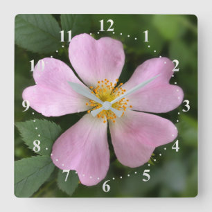kleine rosa Blume Quadratische Wanduhr