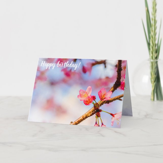 Kleine rosa Sakura Schönheit im Frühling Karte (Vorderseite)