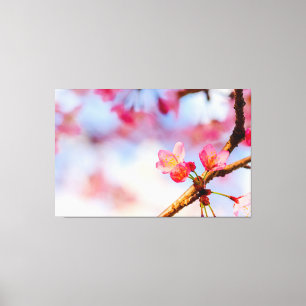 Kleine rosa Sakura-Schönheiten im Frühling Leinwanddruck