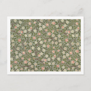 Kleine, rosa und weiße Blume Postkarte