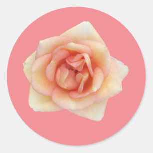 Kleine Rose Runder Aufkleber
