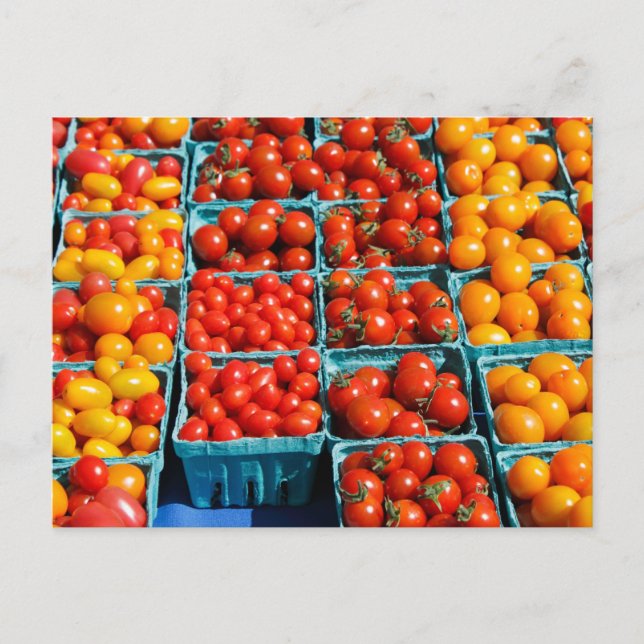 Kleine Rot- und OrangenTomaten Postkarte (Vorderseite)