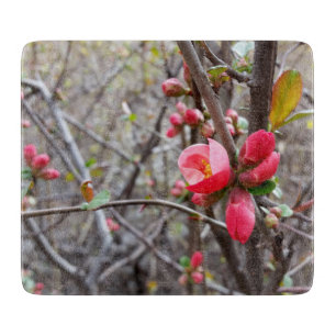 kleine rote Blume Schneidebrett