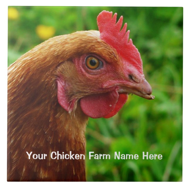 Kleine rote Legehenne - RIR oder ISA Brown Huhn Fliese (Vorderseite)