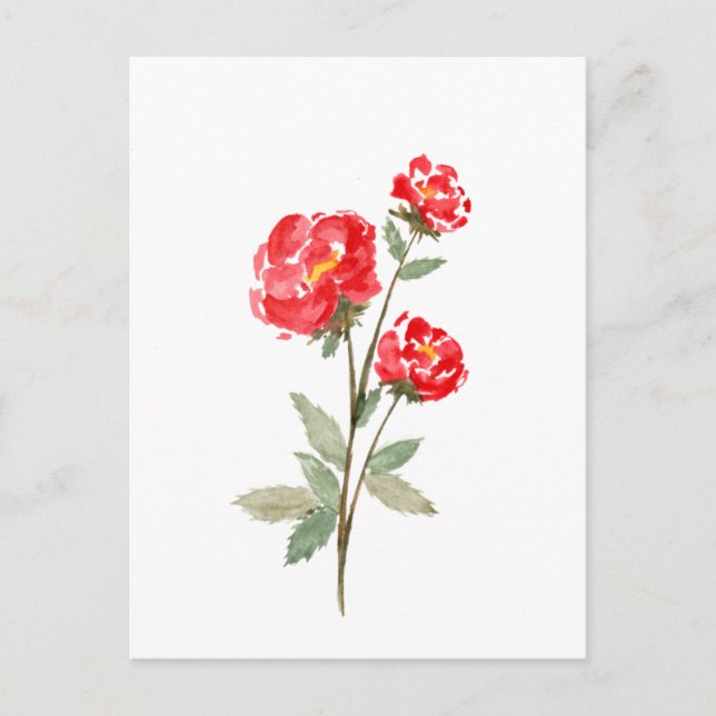 Kleine Rote Rose Blume Postkarte (Vorderseite)
