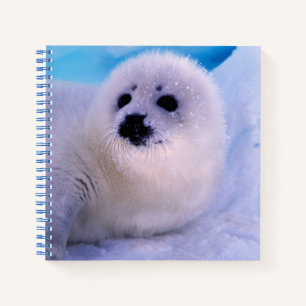 Kleine Sattelrobbenjunge bedeckt mit Schneeflocken Notizbuch