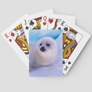 Kleine Sattelrobbenjunge bedeckt mit Schneeflocken Spielkarten