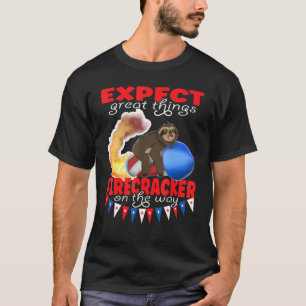 Kleine Schlampe fliegt Feuerwerke unterwegs T-Shirt