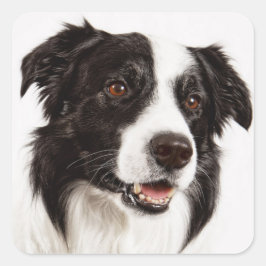 Kleine, schwarz-weiße Kleine-Hundekleber Quadratischer Aufkleber