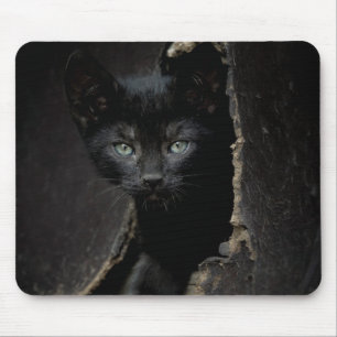 Kleine schwarze Miezekatze Mousepad