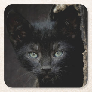 Kleine schwarze Miezekatze Rechteckiger Pappuntersetzer