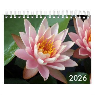 Kleine Seerosen-Kalender 2026 Kalender