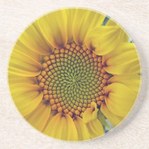 Kleine Sonnenblume Untersetzer