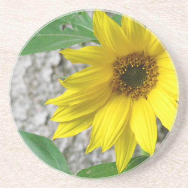 Kleine Sonnenblume Untersetzer (Vorne)