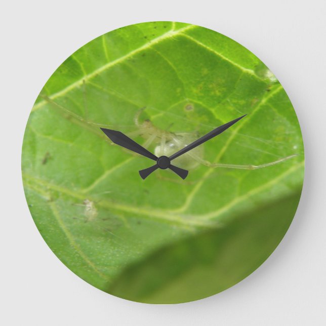 Kleine Spinnenwand Große Wanduhr (Vorderseite)