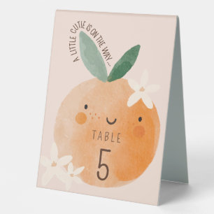 Kleine Süsse Orange Citrus Botanical Baby Dusche Tischaufsteller