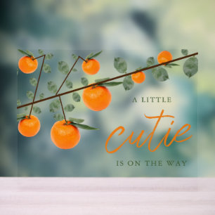Kleine Süsse Orange Gender Neutral Baby Dusche Acrylschild