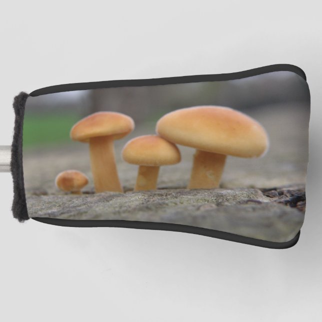 Kleine Toadstools Macro Golf Putter Cover Headcover (Vorderseite)
